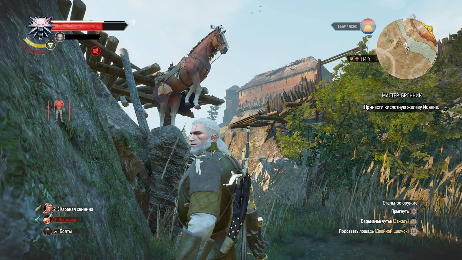 баги в игре the witcher 3 фото 32