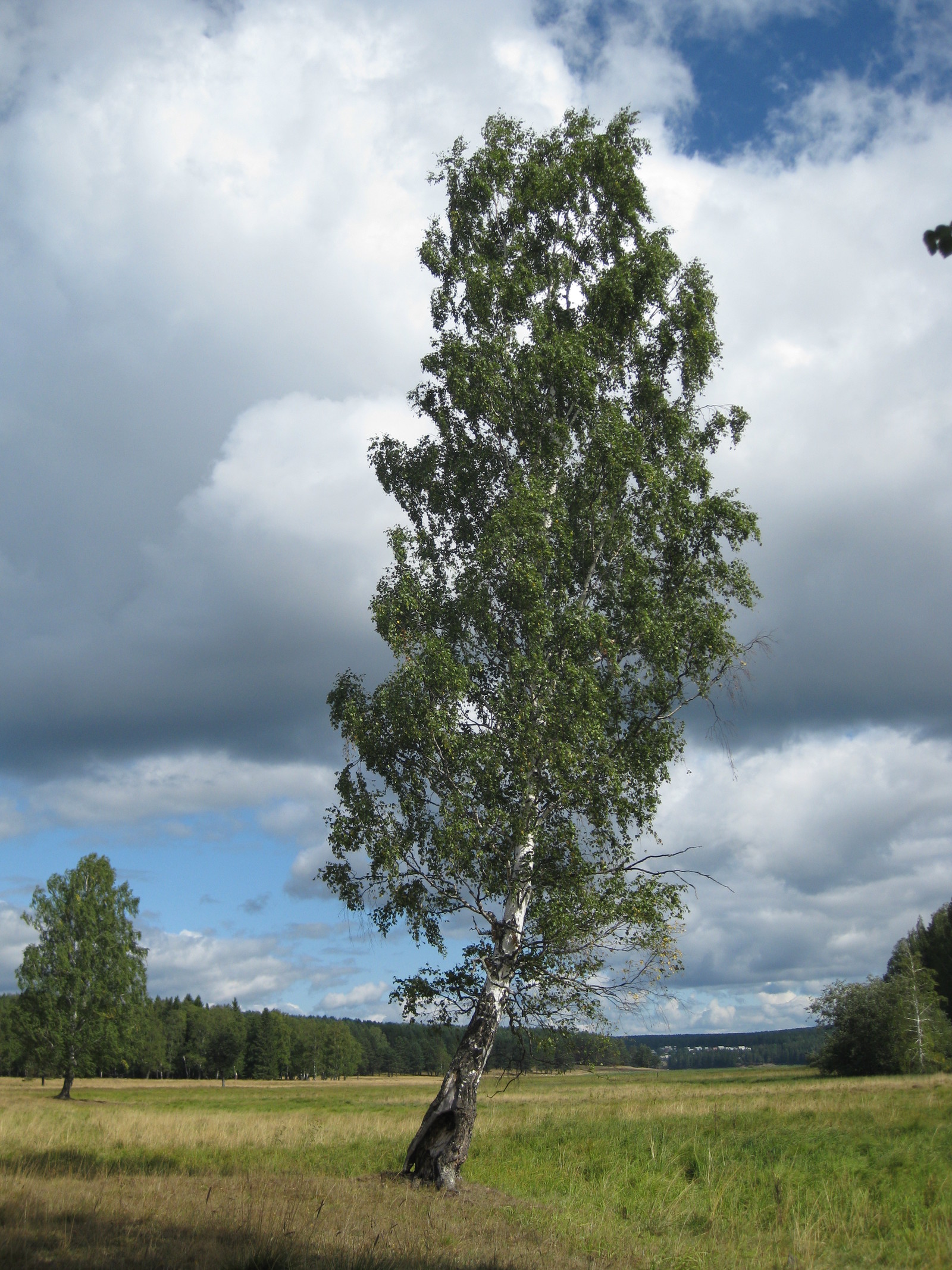 Beauty of the Urals. Part 4 - My, , Ural, beauty of nature, Nature, Russia, wildlife, Forest, Chusovaya, Longpost