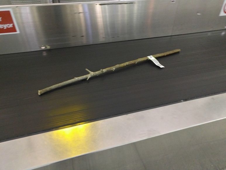 Nothing out of the ordinary... just a kid who wanted to take a stick from the trip - The airport, Baggage