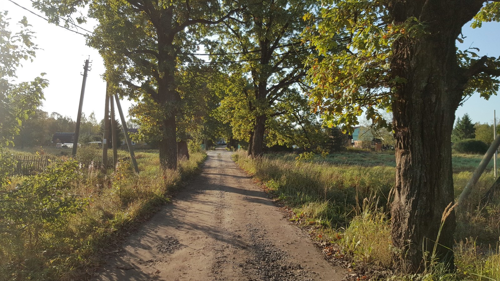 Красота на даче. Ленинградская область - Моё, Красота, Красота природы, Ленинградская область, Дача, Фотография, Первый пост, Любимая дача, Длиннопост