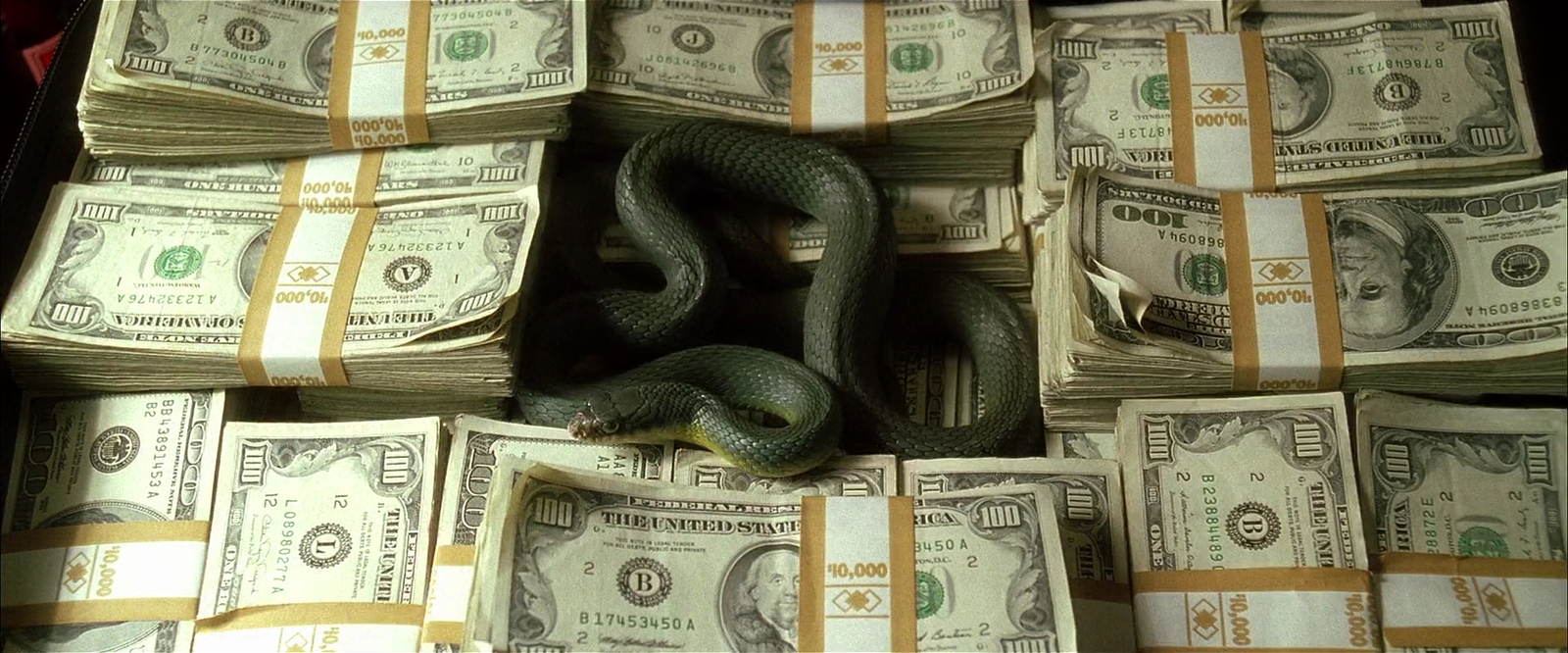 The snake swallowed the multi-million dollar proceeds of officials - Snake, Theft, Money, Theft