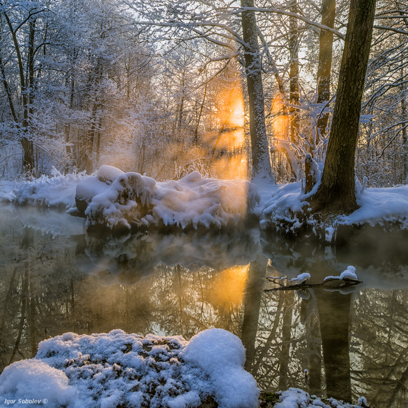 Peekaboo - My, Kuzminki Park, Moscow, Winter, The sun