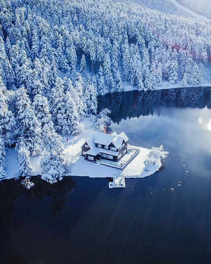 Paradise corner - Forest, House in the woods, Lake, The photo, Nature, Winter