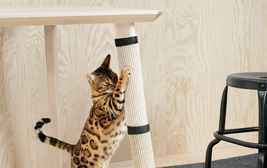 IKEA has released a collection of furniture for animals. - IKEA, cat house, Dog, Furniture, Video, Longpost