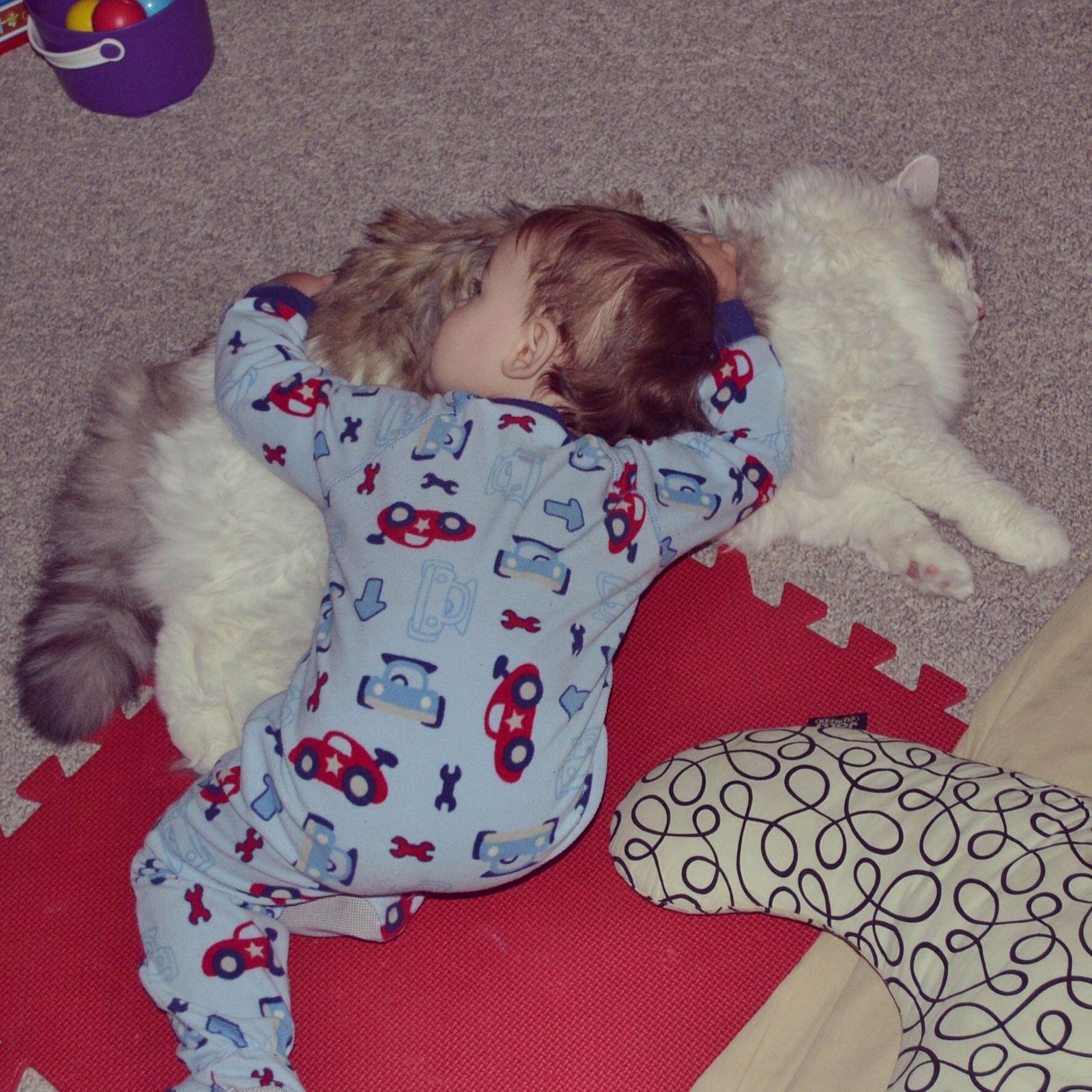 Daughter fell asleep on the cat, and the cat likes to be a pillow - Father, cat, Catomafia, Children