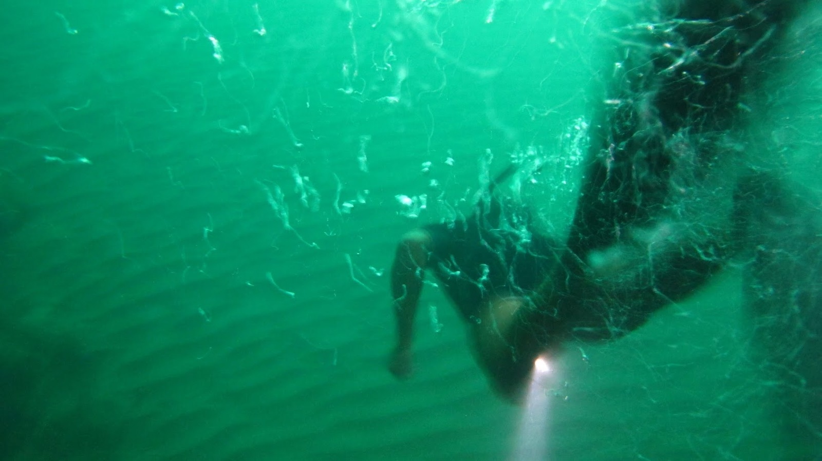 APNEA - My, Sea, Freediving, Trick, Longpost