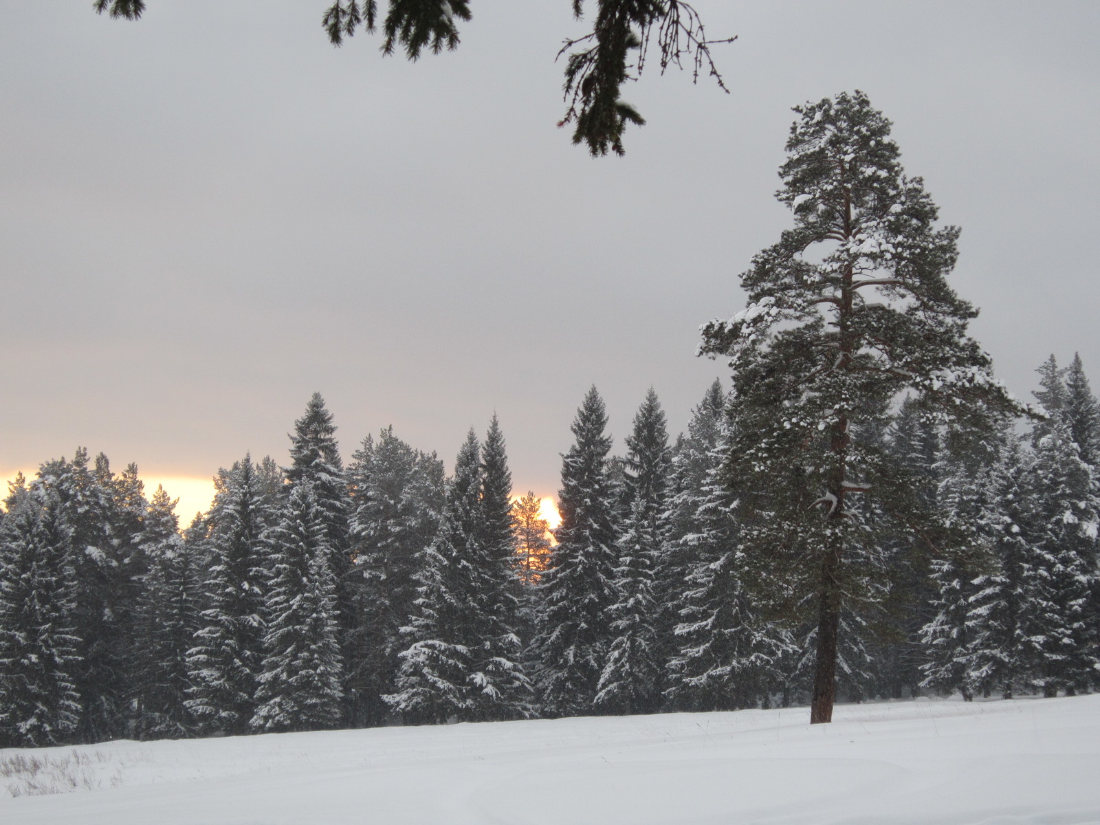 Beauty of the Urals. Part 6 - My, , Ural, beauty of nature, Nature, Russia, wildlife, Forest, Chusovaya, Longpost