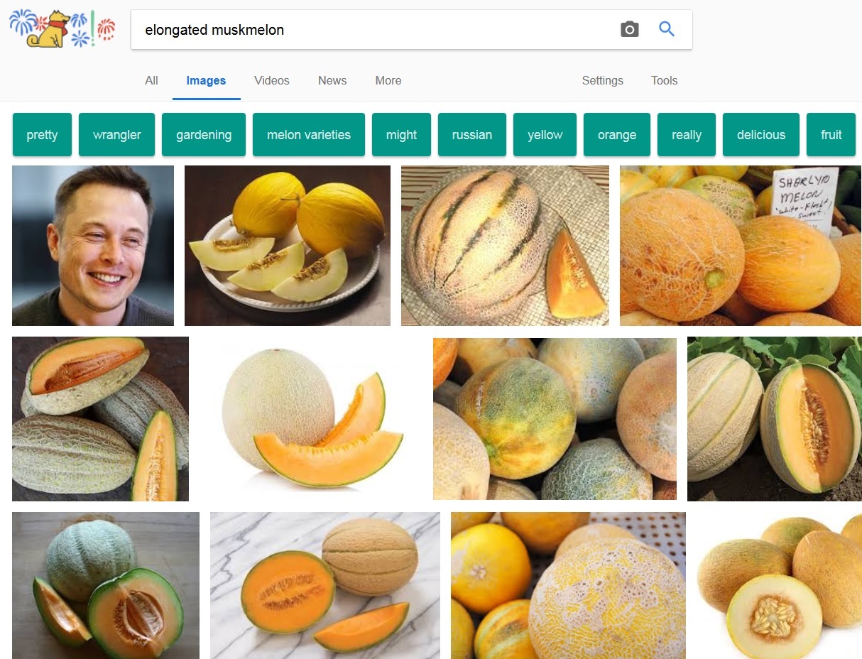 Elongated cantaloupe - Elon Musk, Melon, Images