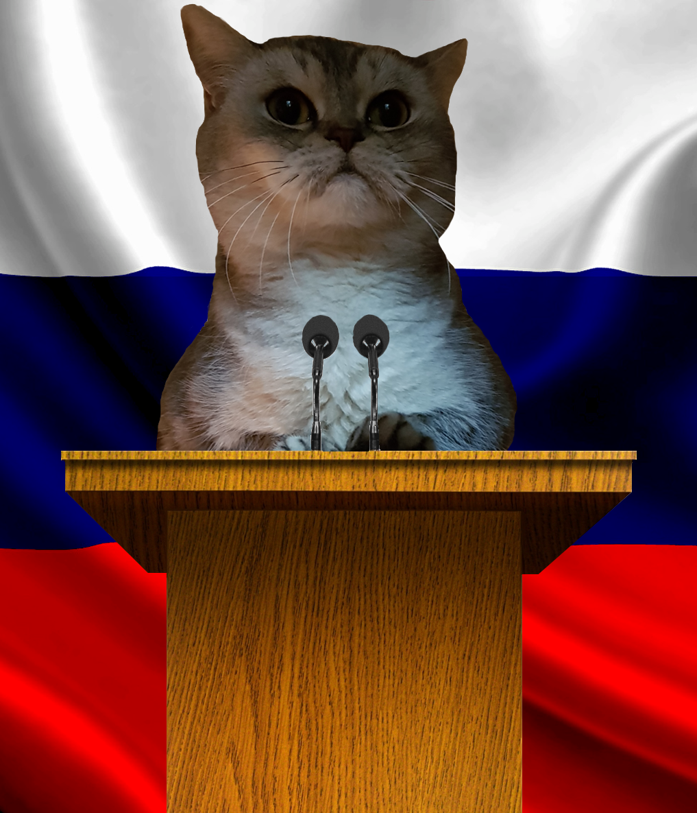 Vote for the cat. - My, cat, Elections, Politics, Photoshop