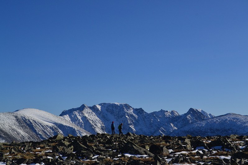 How I spent summer - My, Altai, Pureraces, Longpost, Altai Republic