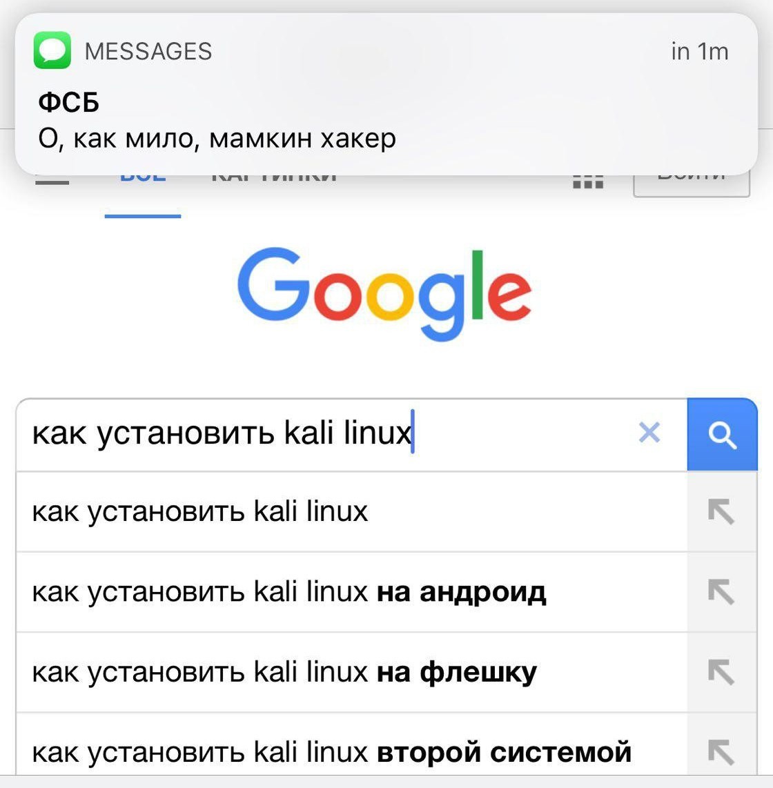 Когда тебя хвалит только ФСБ - ФСБ, Поисковые запросы, СМС, Типо мамин хакер, Хакеры