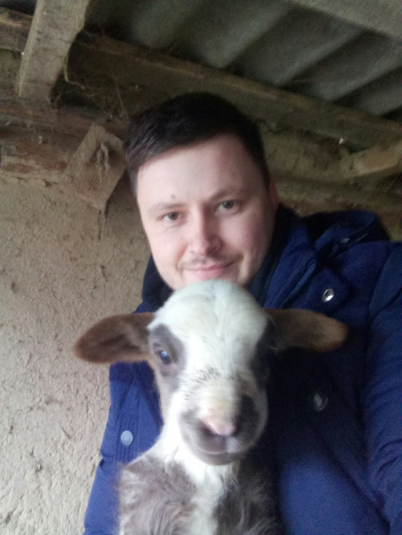 Semyon - My, Animals, Lamb, Pet, Pets