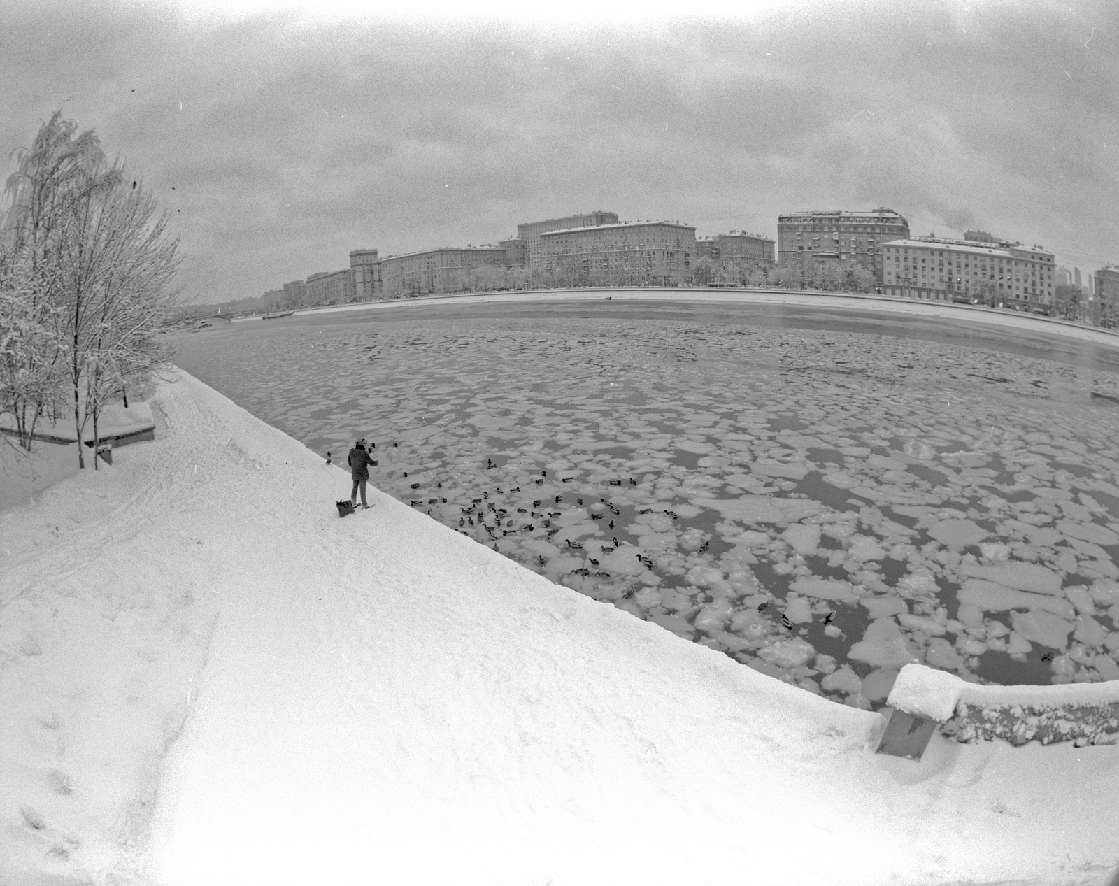 Along the embankment of Gorky Park - My, The photo, Pentax 67, Black and White Film, Medium format, Longpost