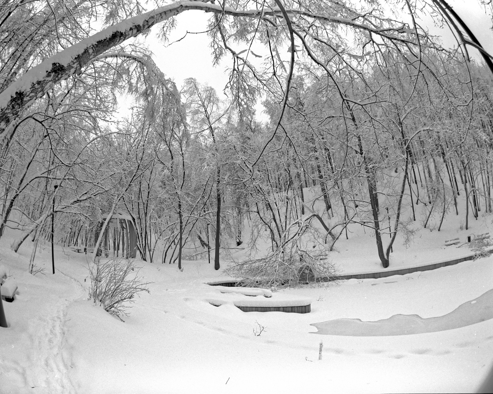 Along the embankment of Gorky Park - My, The photo, Pentax 67, Black and White Film, Medium format, Longpost