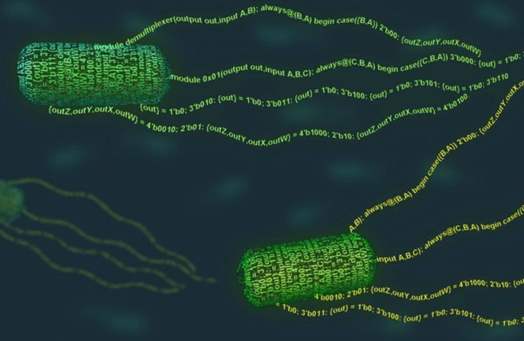 Cello is a living cell programming language - Microbiology, Biology, Biotechnology, Programming, The science, Cell, Technologies, Bacteria, Longpost