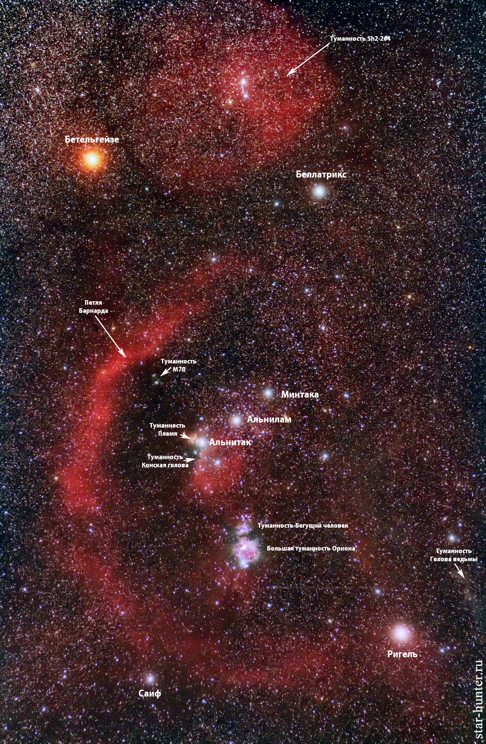 Комплекс водородных туманностей в Орионе, 15 февраля 2018 года. - Моё, Астрономия, Астрофото, Космос, Орион, Canon, Туманность, Starhunter, Супсех, Длиннопост
