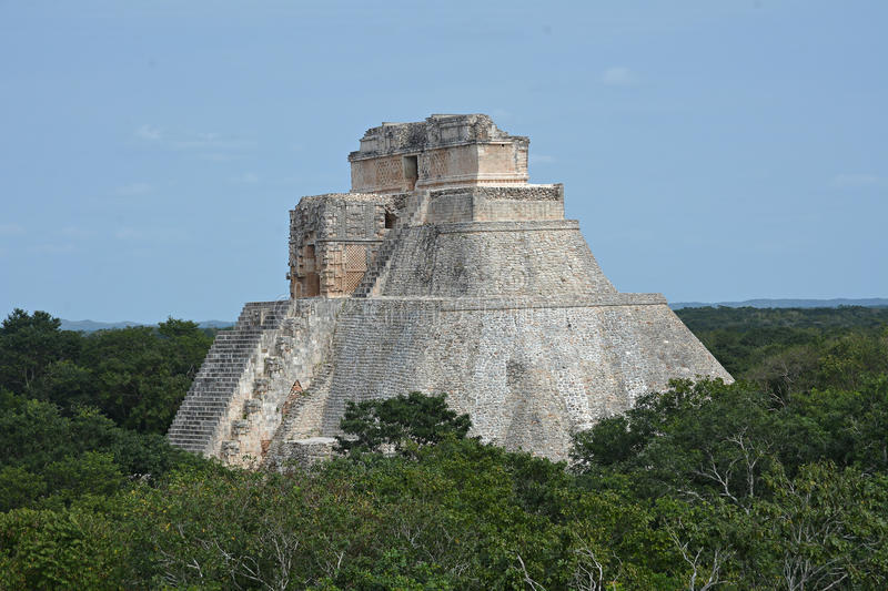 The realm of nature in Mayan cities - Temple, Mayan, Aztecs, Nature, wildlife, Mexico, Antiquity, Longpost