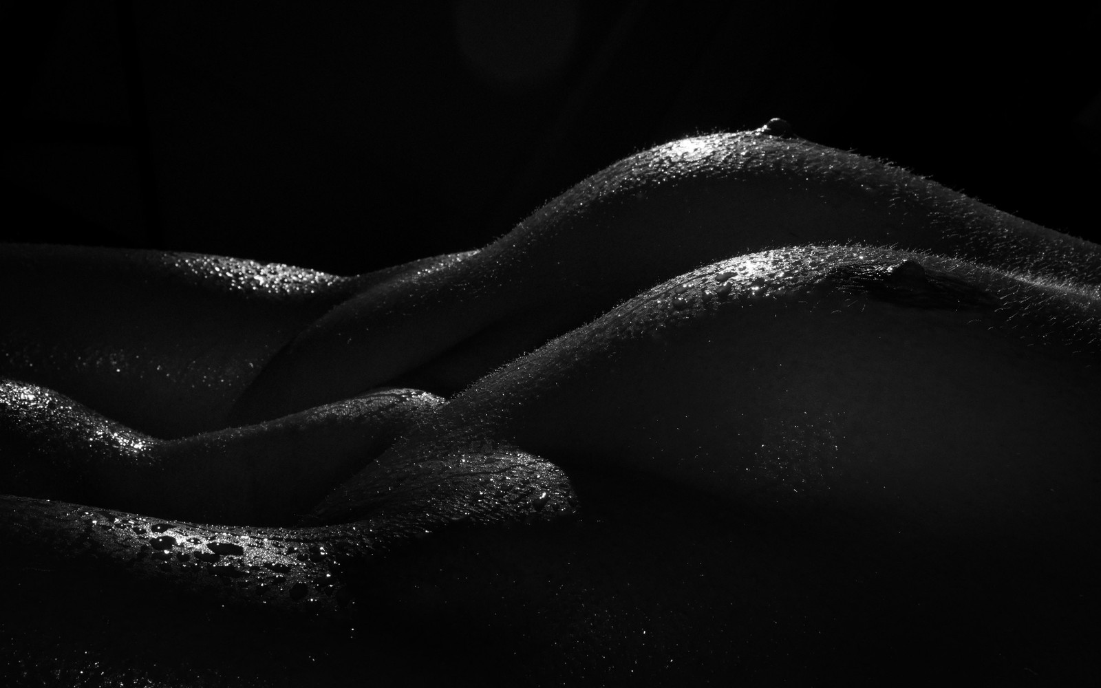 Bodyscape or fleshscape (beginning) - NSFW, My, Bodyscapes, Longpost, Breast, Black and white, Homemade, The photo, Photo project