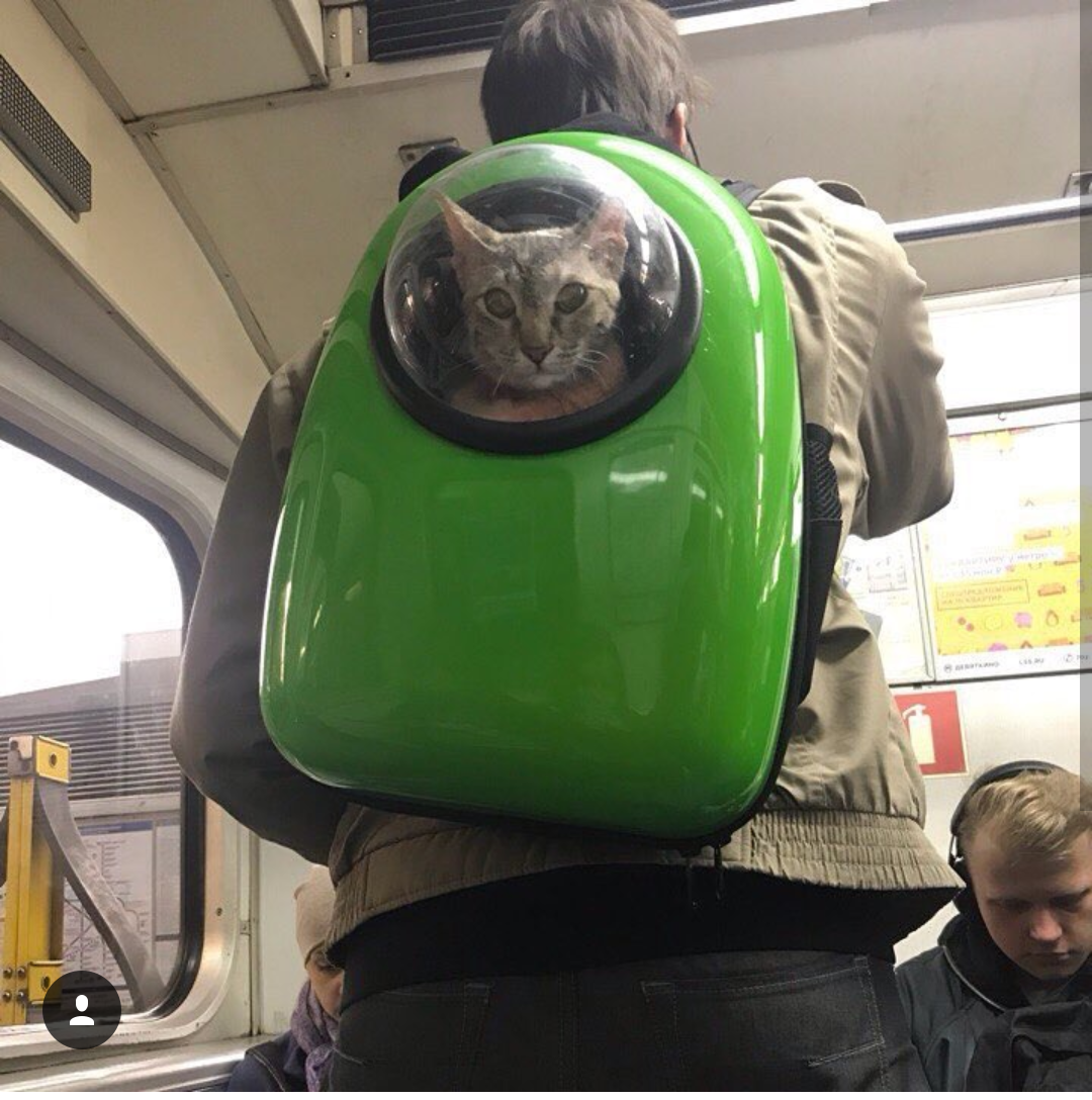 Cosmonaut preparation for flight to the ISS - Moscow, Metro, cat, Космонавты, ISS, Workout