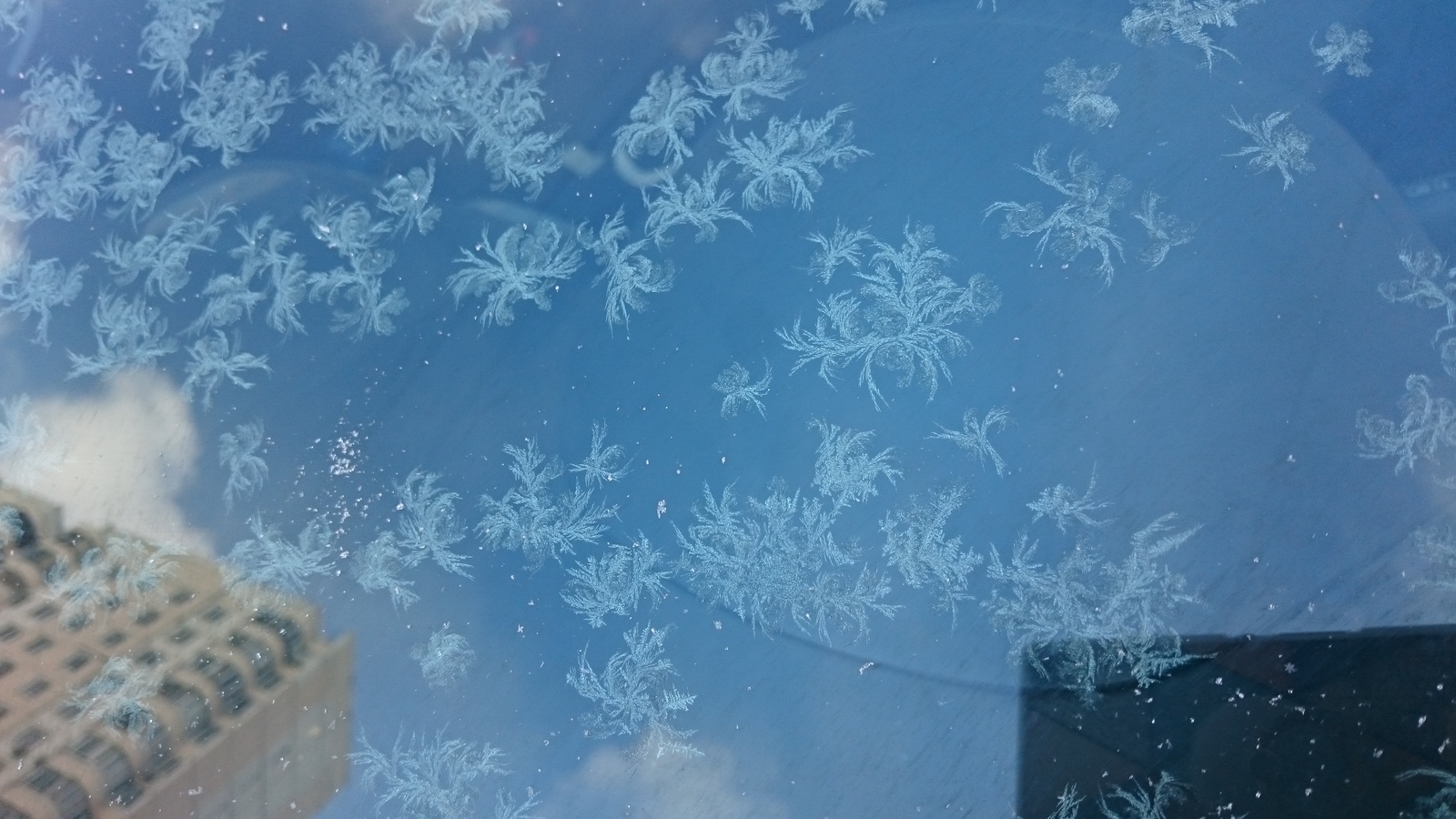 Blue blue frost. - My, beauty of nature, Longpost, Frost, Winter, freezing, Patterns on the window, The photo