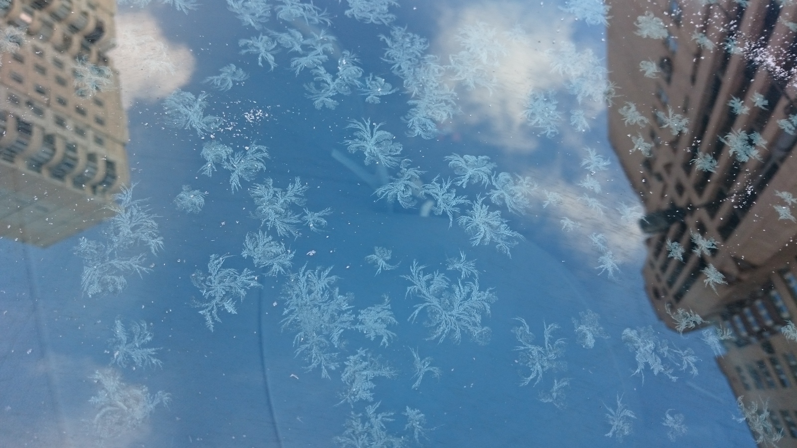 Blue blue frost. - My, beauty of nature, Longpost, Frost, Winter, freezing, Patterns on the window, The photo