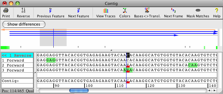 A little about our genetics and diseases. - My, Genetics, , Education, The science, Genome, Longpost, Genetic diseases