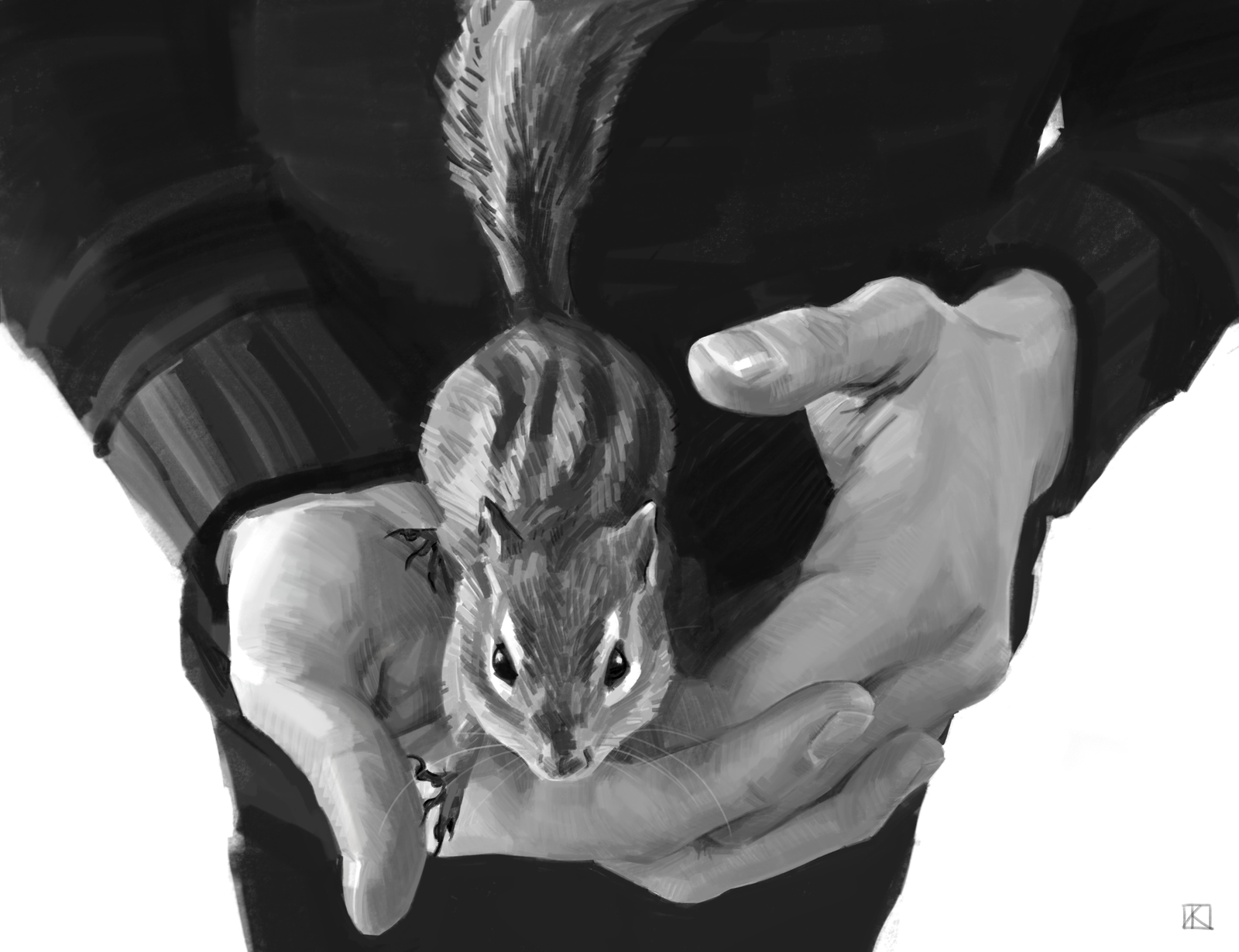 Chipmunk - My, My, Drawing, Arms, Chipmunk