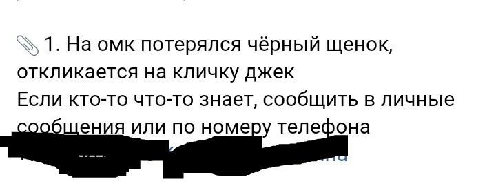 Hey dog, how are you? Jack? - My, Announcement, Lost, The dog is missing, Where is the logic?