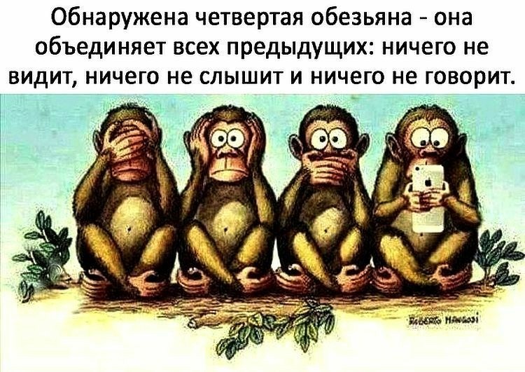 А просто так... - Картинки, Фотография, Обезьяна, Телефон, Баян, Повтор