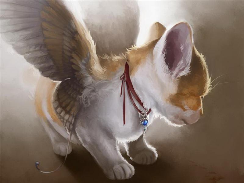 Seals... winged. - cat, Fantasy, , Longpost