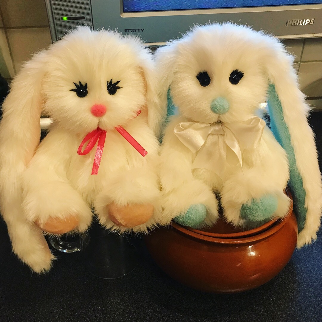 Snow-white bunnies and owls - My, Toys, Soft toy, Author's toy, Handmade, Hare, Owl, Needlework, Longpost