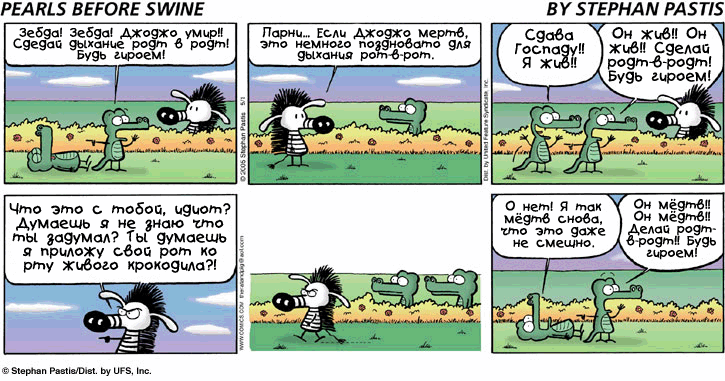 Pearls before swine in Russian #2 - Pearls before swine, Stefan Pastis, Comics, Longpost