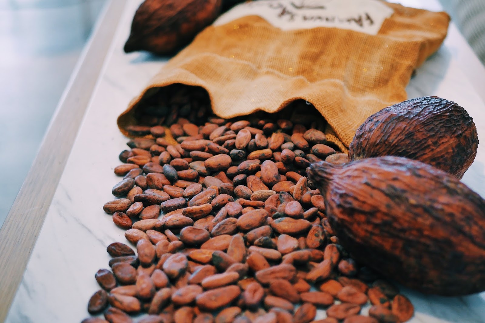 Цены на какао бобы. Какао Бобы Суматра. Зерна какао. Зерна какао бобов. Шоколадные Бобы.