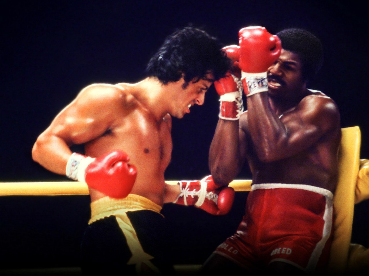 Rocky 2 - Rocky, Sylvester Stallone, Carl Weathers, Talia Shire, Bert Young, , Longpost