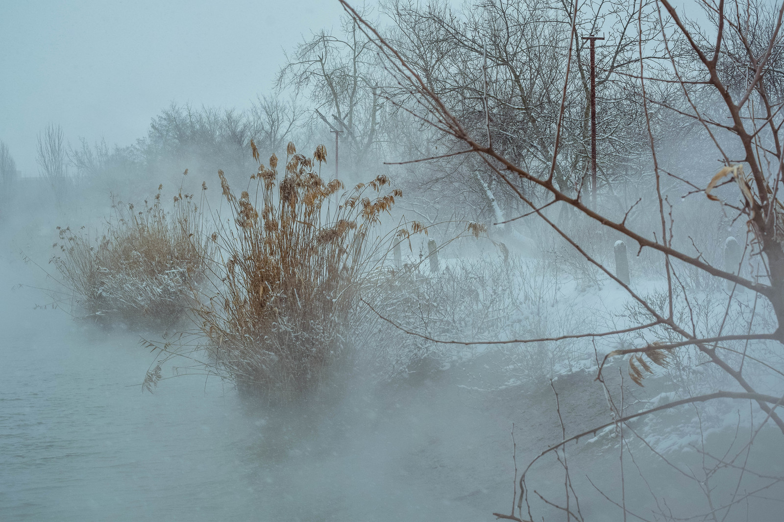 OLD ROAD - My, Krasnodar, Fog, Winter, The photo, Hobby, , Zenitar, Road, Nikon d5300