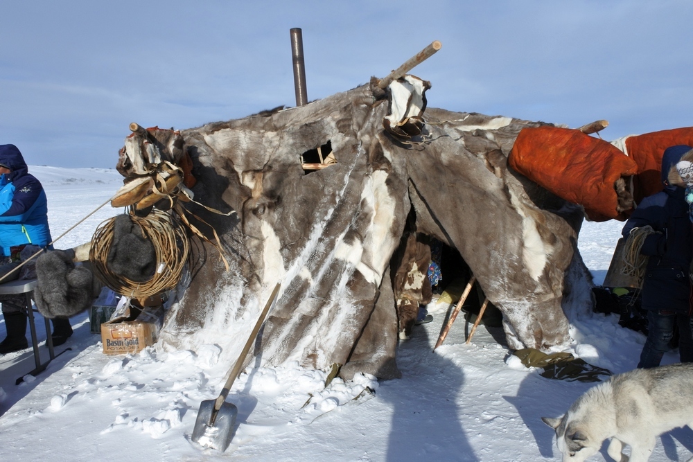 How much does a modern dwelling of a Chukchi reindeer breeder cost? - Chukchi, Chukotka, , Longpost