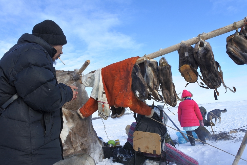 How much does a modern dwelling of a Chukchi reindeer breeder cost? - Chukchi, Chukotka, , Longpost