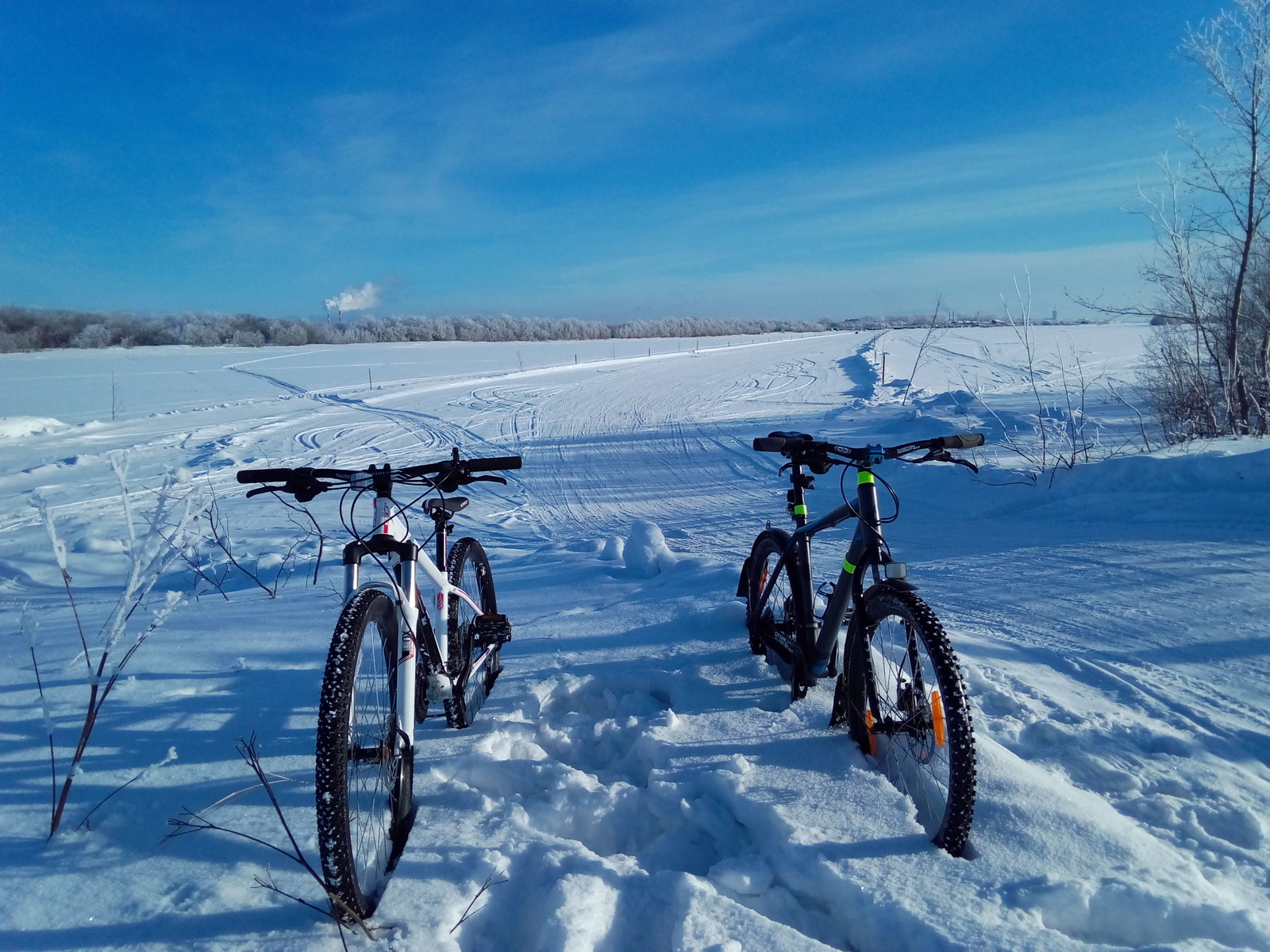 People, go for a walk! - My, A bike, River, Winter, Longpost