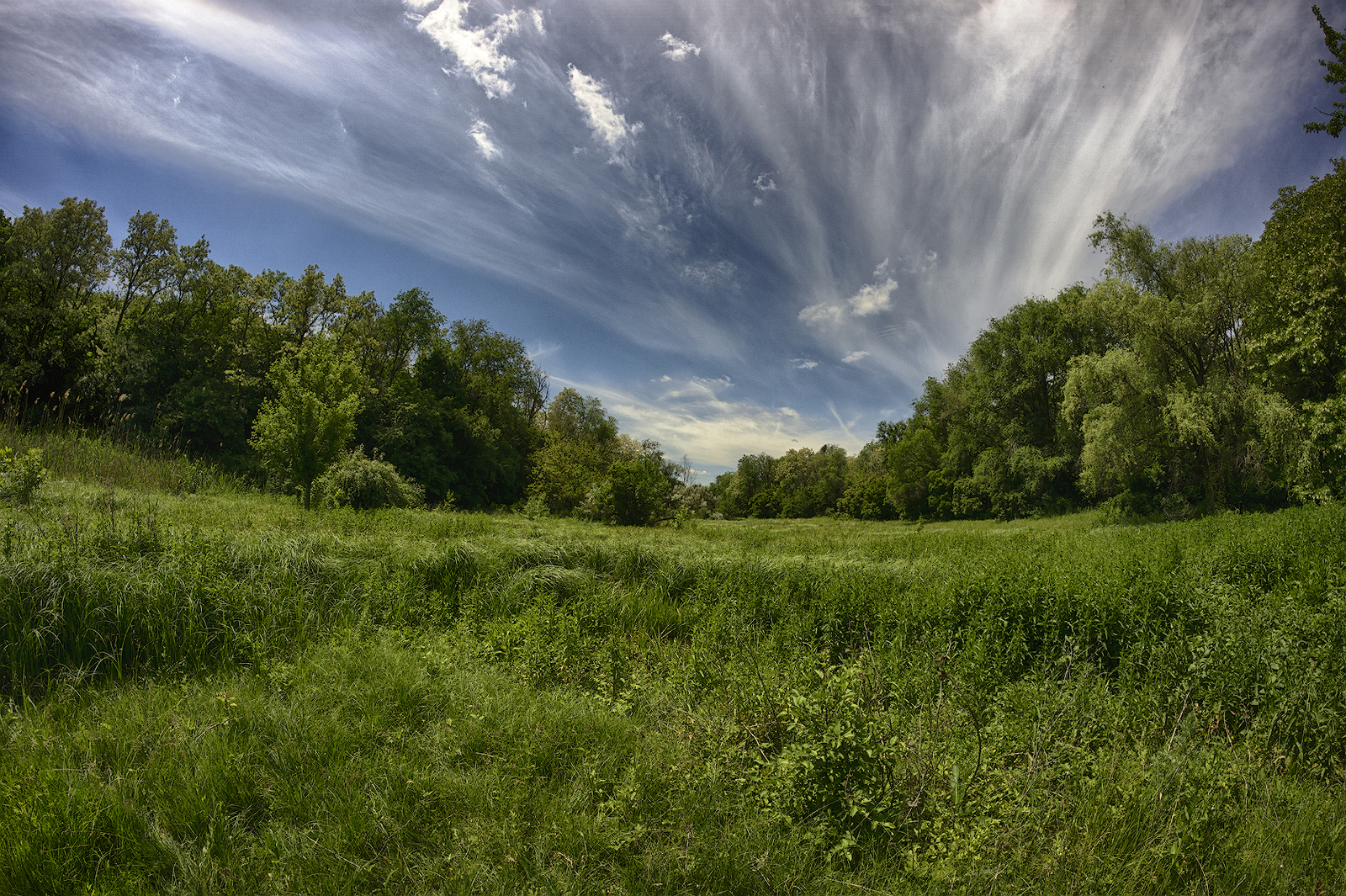 Solar halo - My, Summer, Halo, Gorlovka, The photo, Longpost