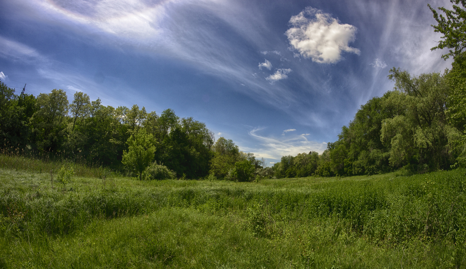 Solar halo - My, Summer, Halo, Gorlovka, The photo, Longpost