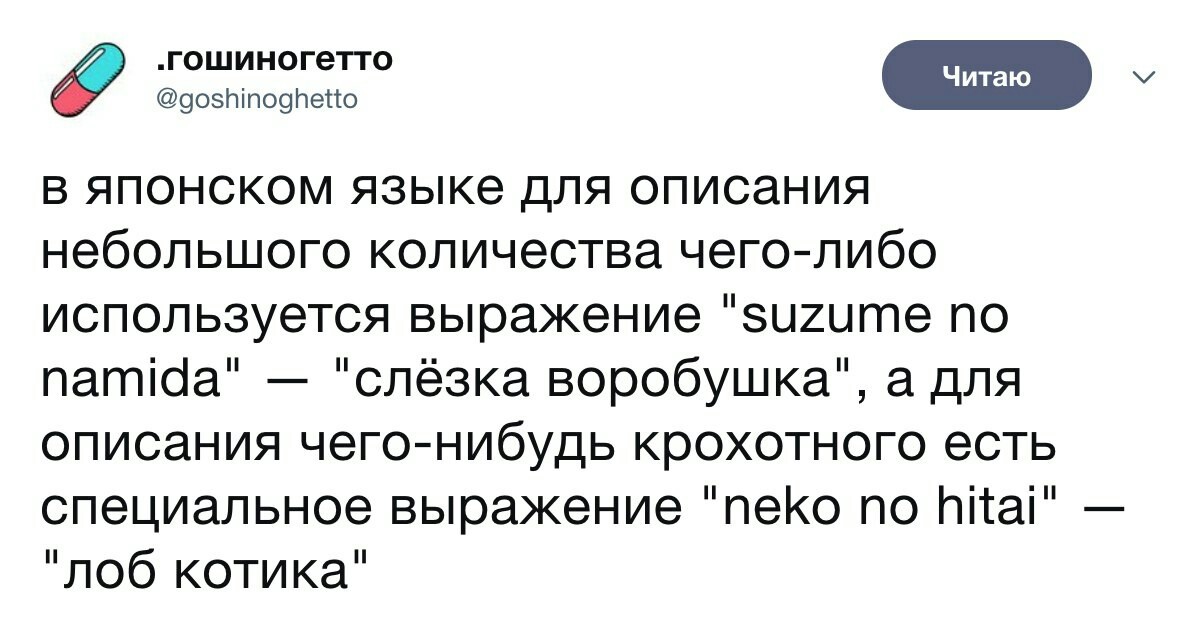 Neko no hitai - Япония, Японский язык, Twitter