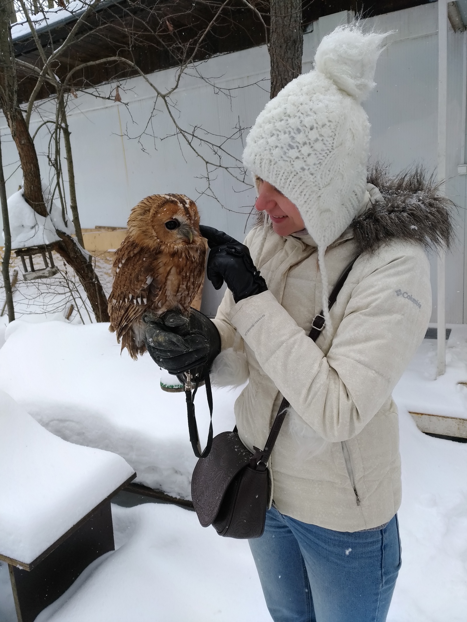 Moscow ornitarium - Owl, Predator birds, Ornitarius, Moscow, Longpost