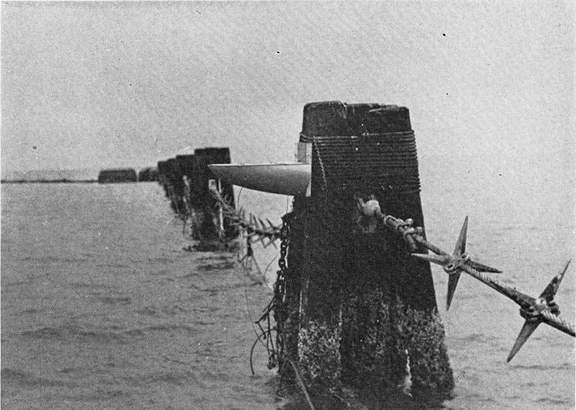 Grillo-type torpedo boats with tracks - Torpedo boat, , , Longpost