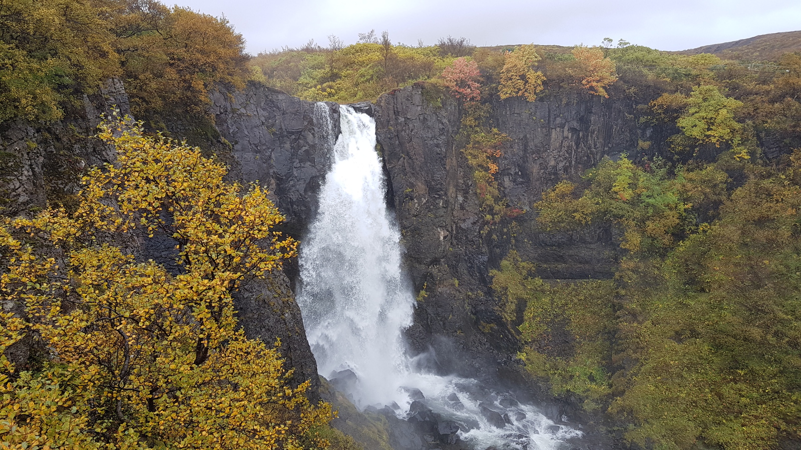 Traveling to Iceland - My, Iceland, Travels, Longpost, Adventures, , Expensive, Video