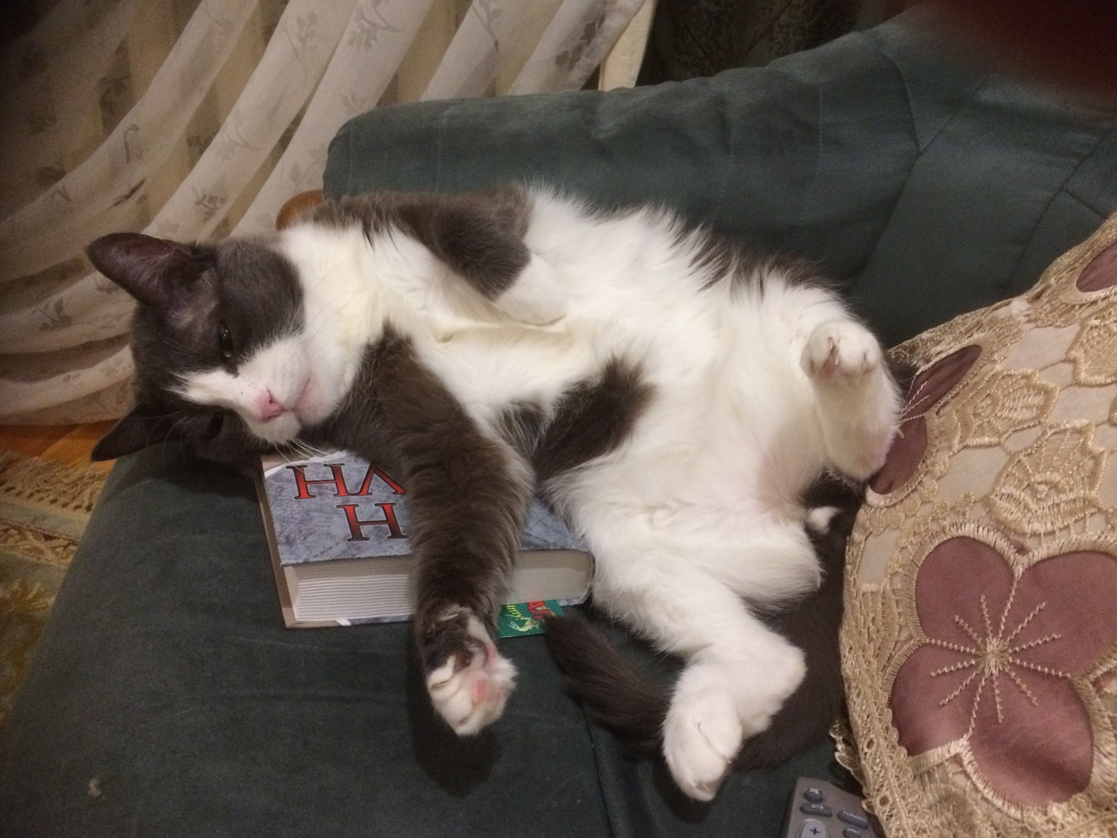 Пирожок весом 6 килограмм | Пикабу