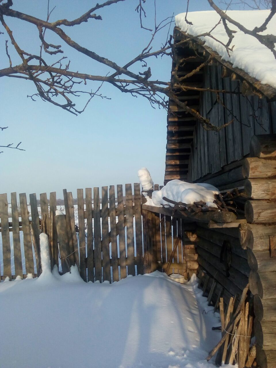 Makarikha - My, , Village, Winter, Longpost