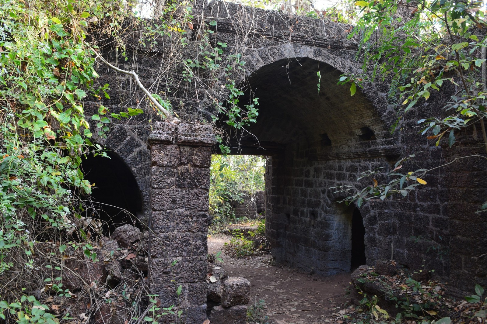 Jungle fort in north Goa - My, Travels, The photo, India, Goa, Abandoned, Fort, Longpost