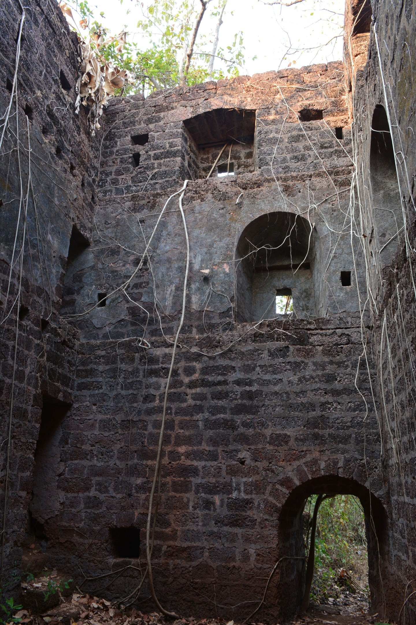 Jungle fort in north Goa - My, Travels, The photo, India, Goa, Abandoned, Fort, Longpost