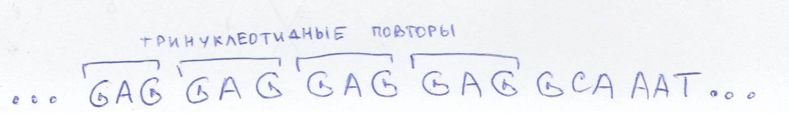 A little about non-traditional types of inheritance of genetic pathology. - My, Genetics, Education, , The science, Hordes, Mitochondria, Expansion, Longpost, Genetic diseases