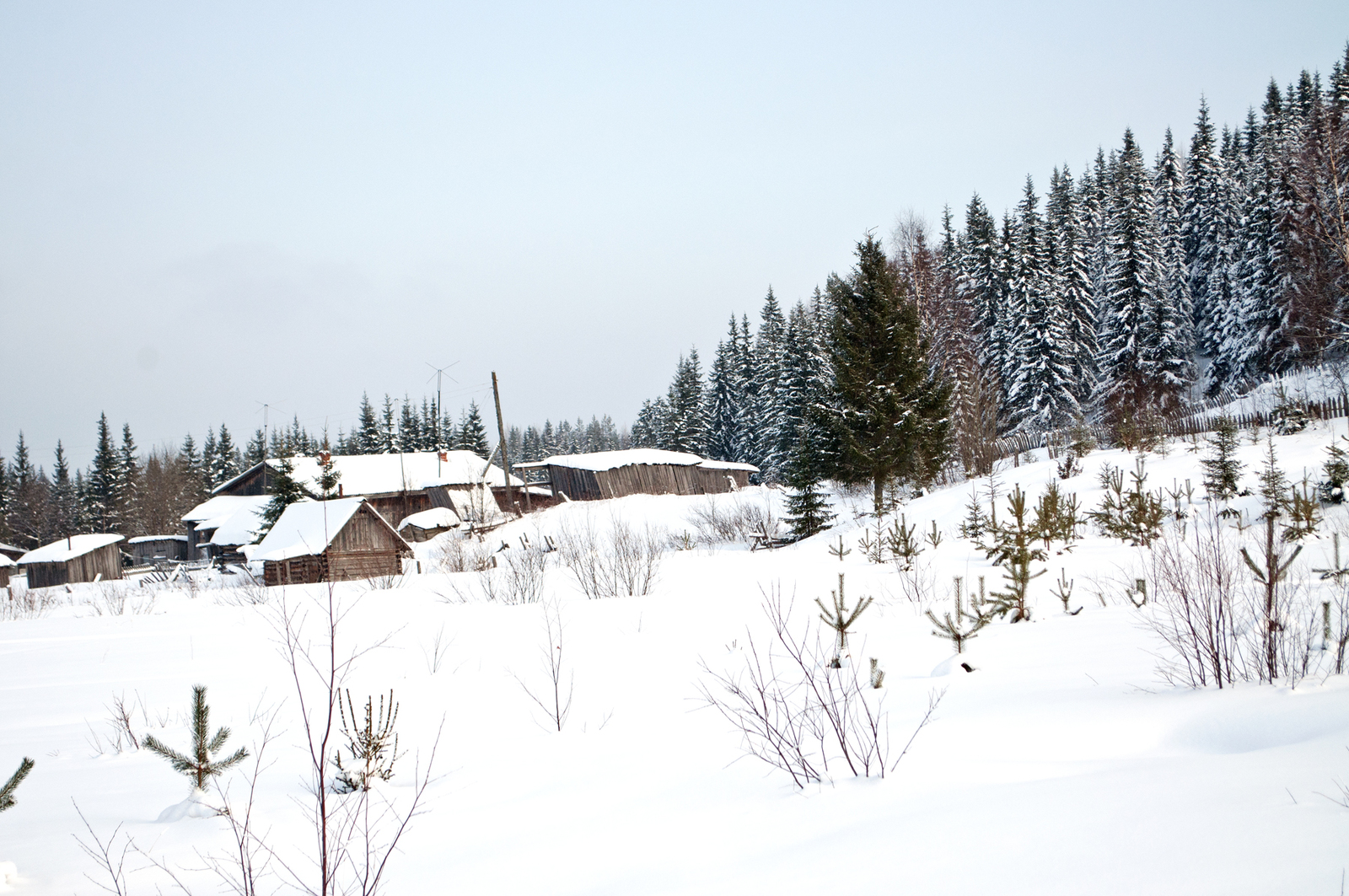 Seza village. - My, Russia, Railway, Narrow gauge, Russian North, Longpost